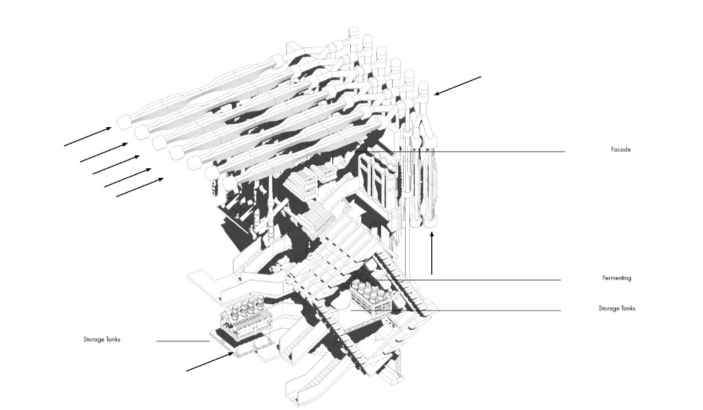 Oblique Vines image 14